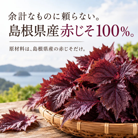 【基本送料無料】島根県産しそ茶 - ティーバッグ 2g×10包 6個パック