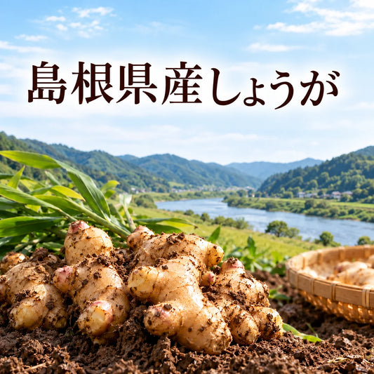 【基本送料無料】島根県産しょうが茶 - ティーバッグ 1.5g×10包 6個パック