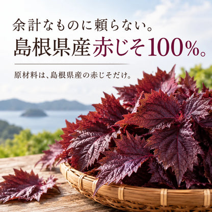 【基本送料無料】島根県産しそ茶 - ティーバッグ 2g×10包 6個パック