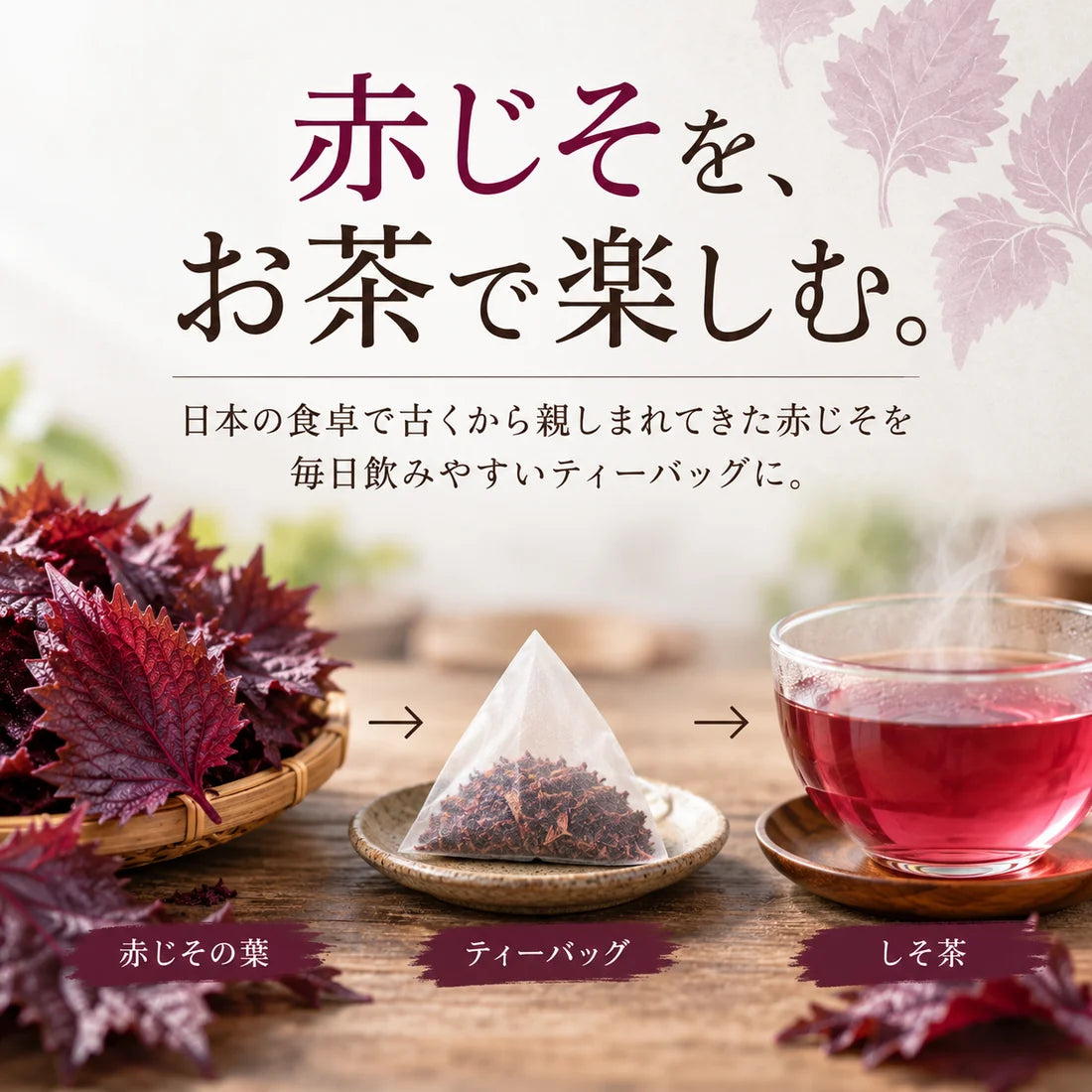 【基本送料無料】島根県産しそ茶 - ティーバッグ 2g×10包 6個パック