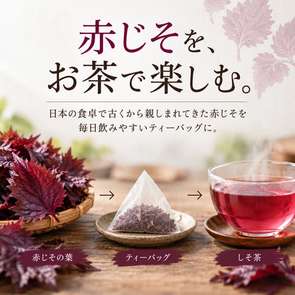 【基本送料無料】島根県産しそ茶 - ティーバッグ 2g×10包 6個パック