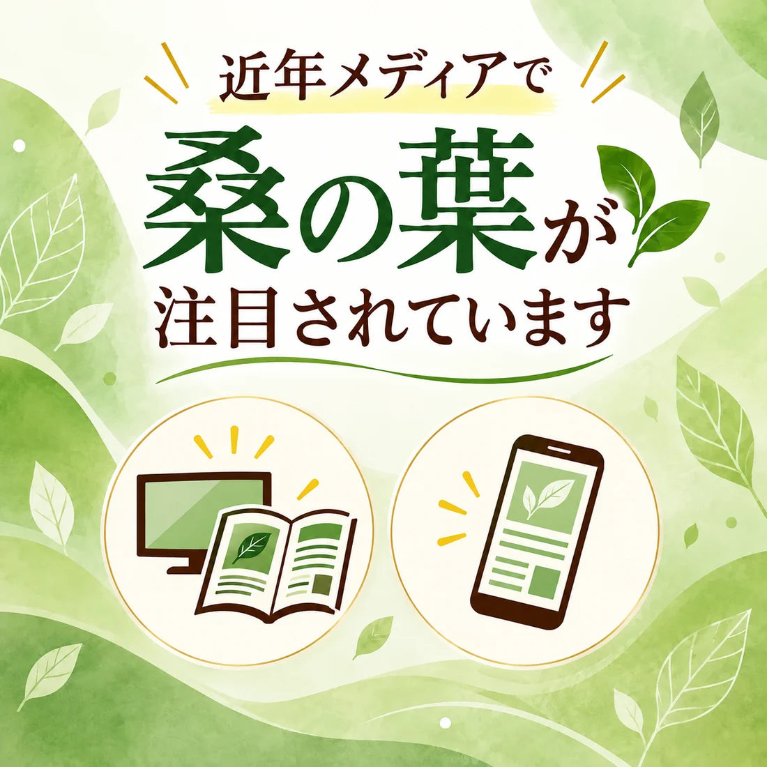 【基本送料無料】国産有機栽培 有機桑茶 お徳用ティーバッグ(36包)×6個セット