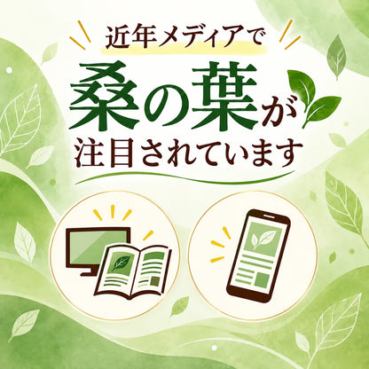【基本送料無料】国産有機栽培 有機桑茶 お徳用ティーバッグ(36包)×6個セット