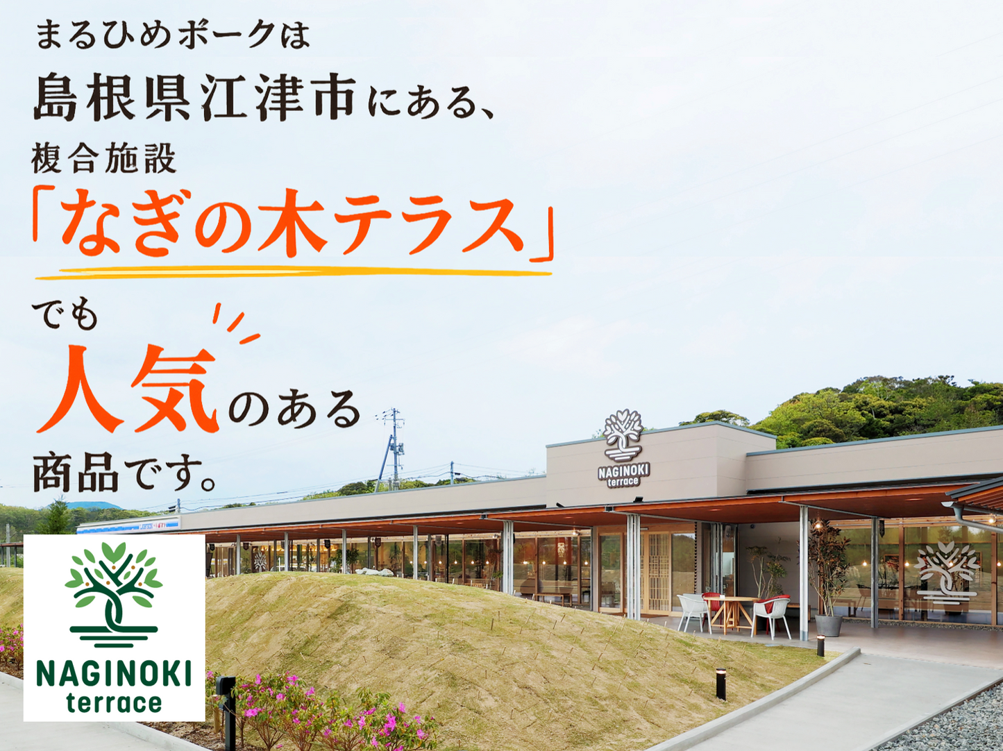 【上等級ポーク】 はや旨10分晩ごはん まるひめ ねぎ塩レバー