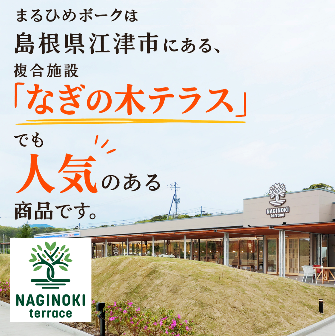 【お中元ギフト】 上等級 まるひめポーク ポークステーキセット 送料無料対象商品
