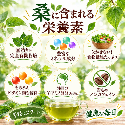 【基本送料無料】国産有機栽培 有機桑茶 お徳用ティーバッグ(36包)×6個セット