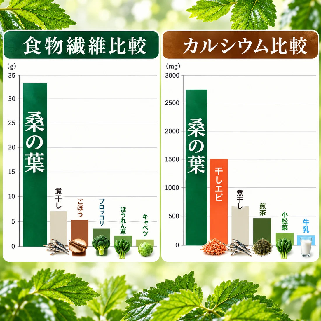 【基本送料無料】国産有機栽培 有機桑茶 お徳用ティーバッグ(36包)×6個セット