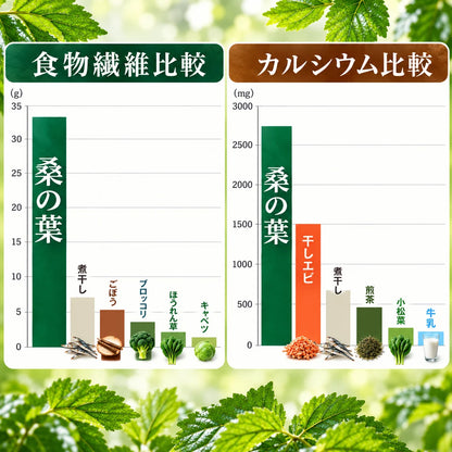 【基本送料無料】国産有機栽培 有機桑茶 お徳用ティーバッグ(36包)×6個セット