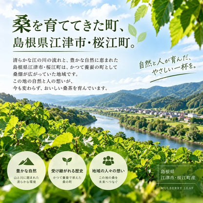 【基本送料無料】国産有機栽培 有機桑茶 お徳用ティーバッグ(36包)×6個セット