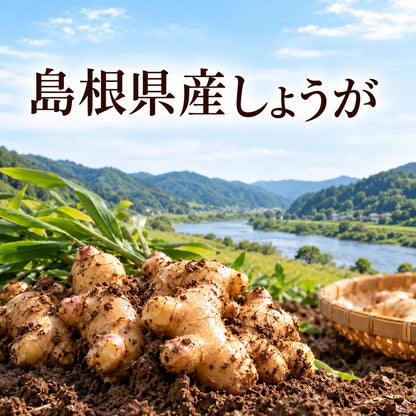 【基本送料無料】島根県産しょうが茶 - ティーバッグ 1.5g×10包 6個パック