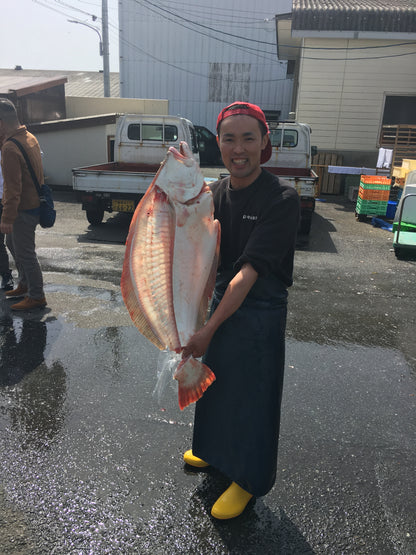 3代目の目利きとホスピタリティが光る、「やなぎ水産」の鮮魚セット